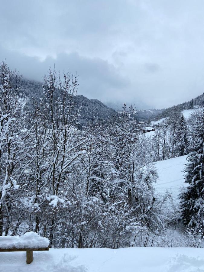 Chalet Soleya Le Grand-Bornand Luaran gambar